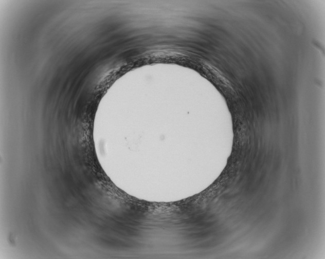 X0000096150824200801180827