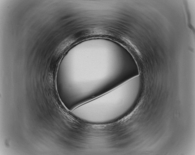 X0000096150825200801180827