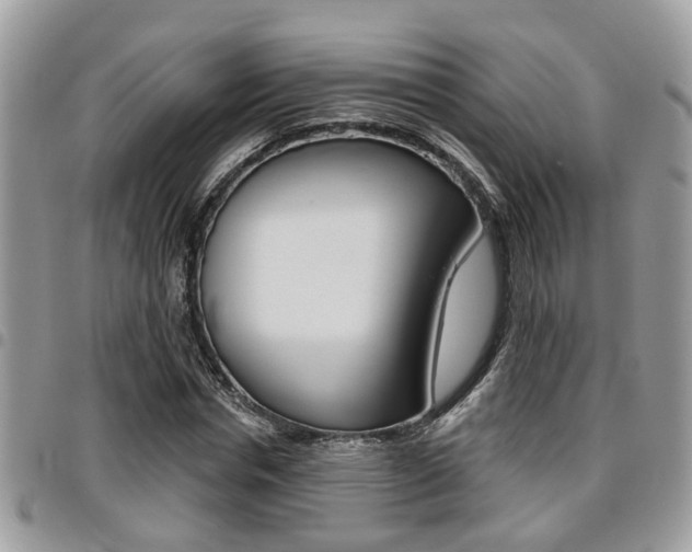 X0000096150826200801180827