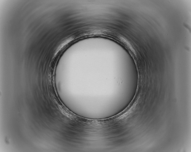 X0000096150827200801180827