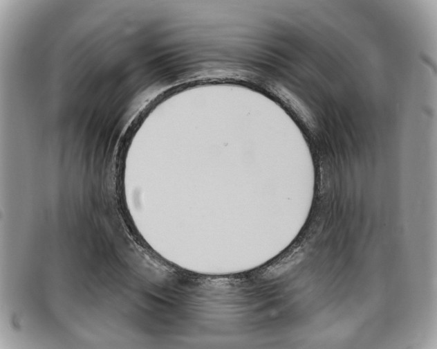 X0000096150828200801180827