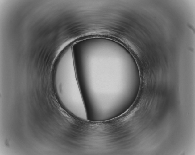X0000096150830200801180827