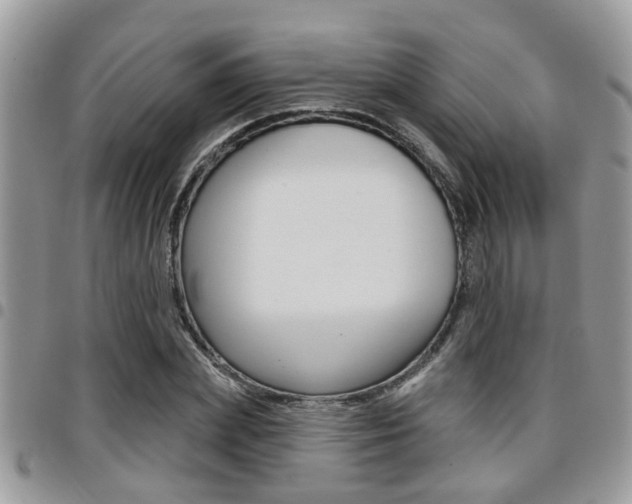 X0000096150831200801180827