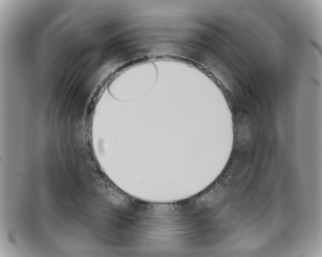 X0000096150832200801180827