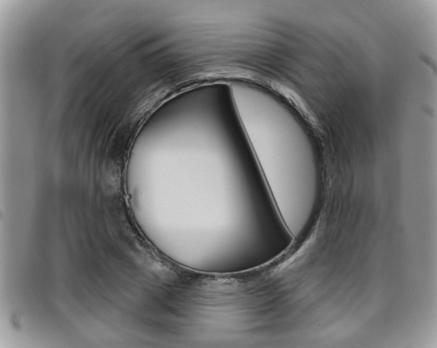 X0000096150833200801180827