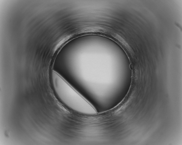 X0000096150834200801180827