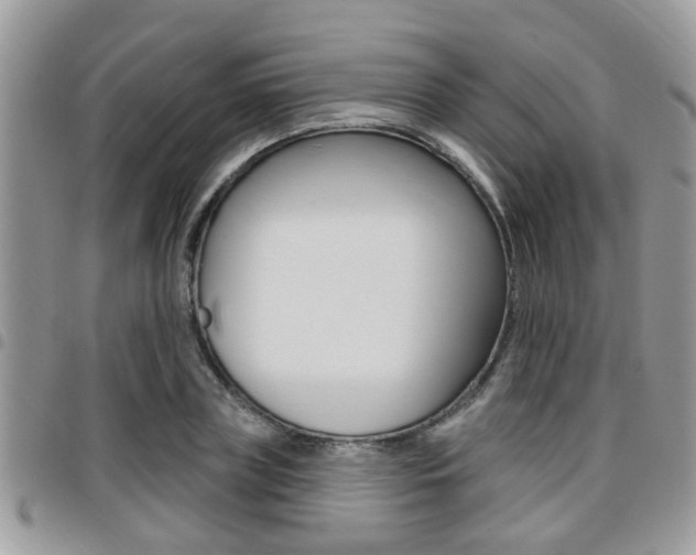 X0000096150835200801180827
