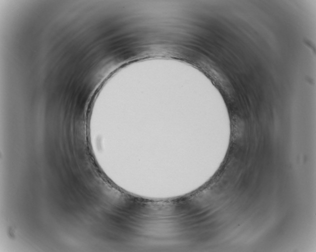 X0000096150836200801180827