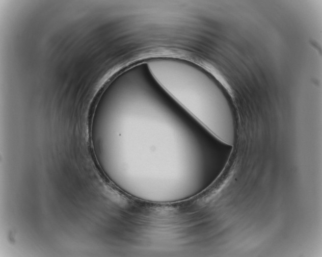X0000096150837200801180827