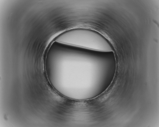 X0000096150838200801180827