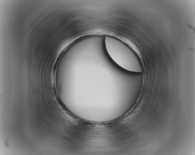 X0000096150839200801180827