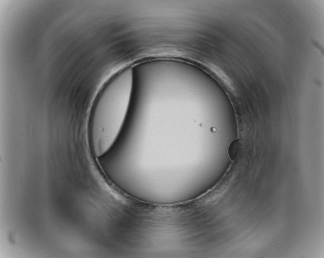 X0000096150840200801180827