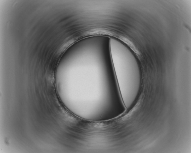 X0000096150841200801180827