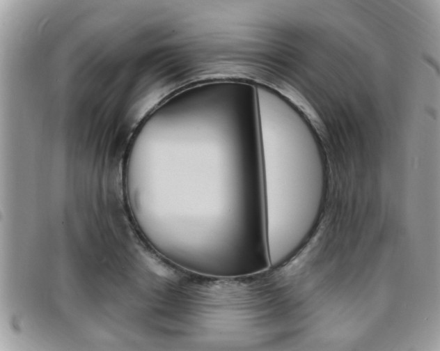 X0000096150842200801180827