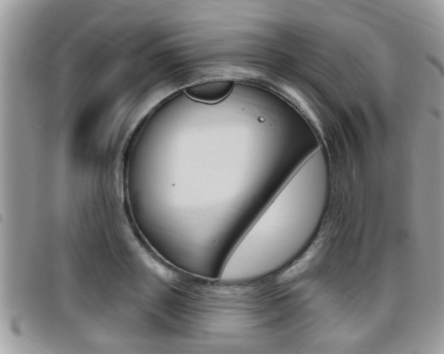 X0000096150843200801180827