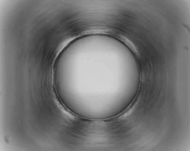 X0000096150844200801180827