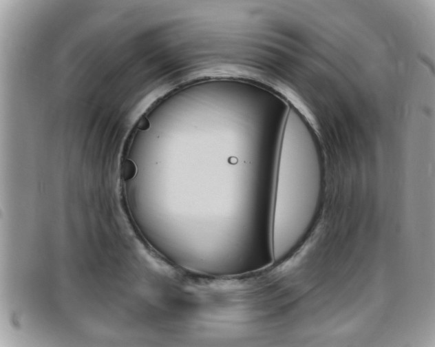 X0000096150845200801180827
