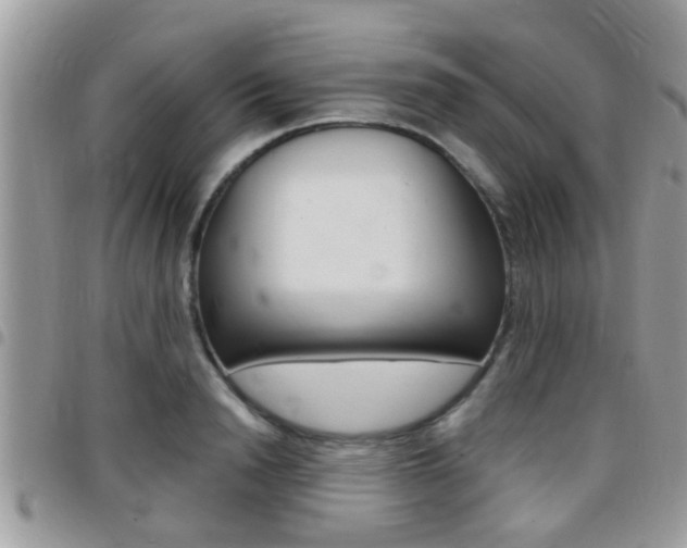 X0000096150846200801180827