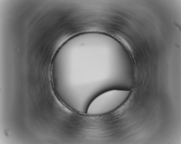X0000096150847200801180827