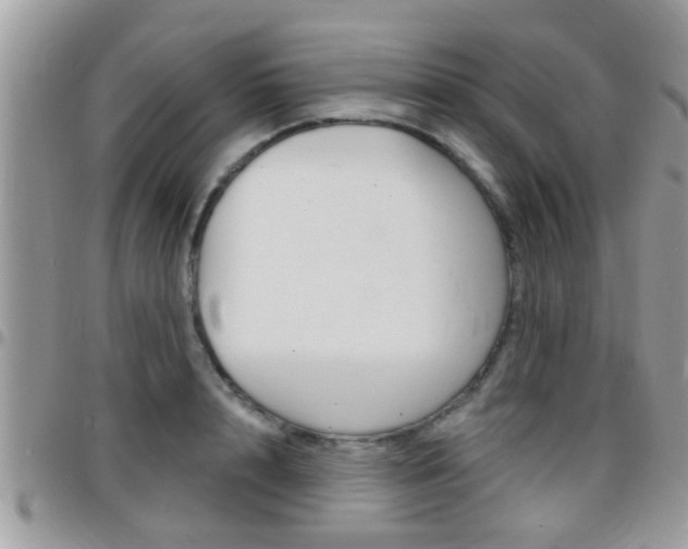 X0000096150848200801180827