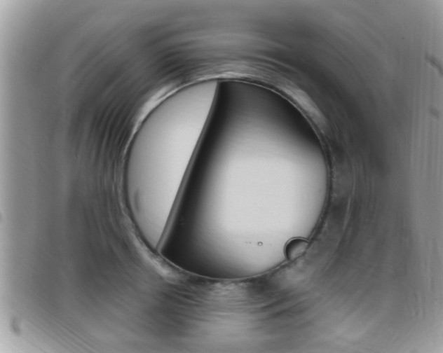X0000096150850200801180827