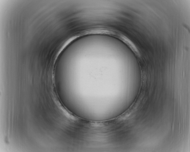 X0000096150852200801180828