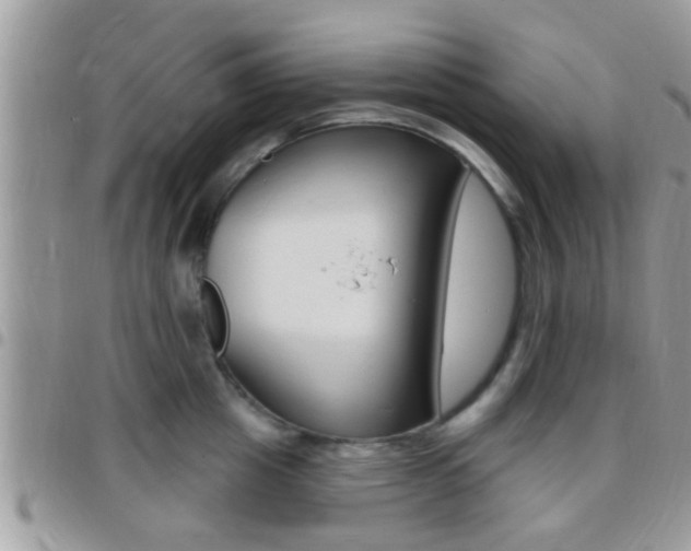 X0000096150857200801180828