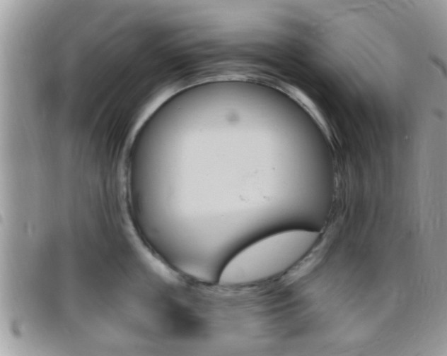 X0000096150859200801180828