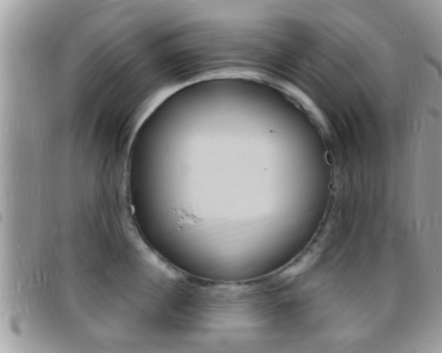 X0000096150860200801180828