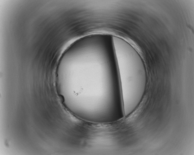 X0000096150862200801180828