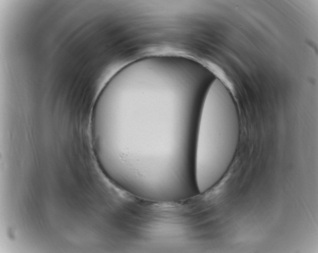 X0000096150863200801180828