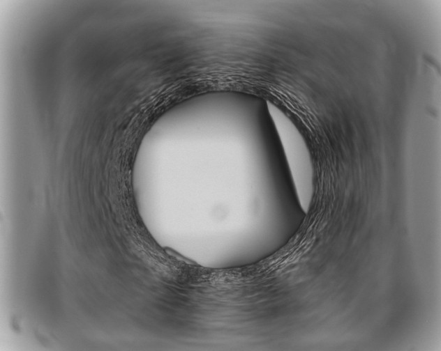 X0000096150865200801180827