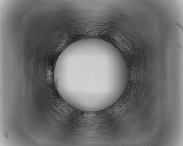 X0000096150866200801180827