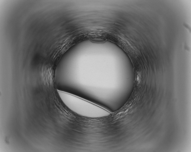 X0000096150867200801180827