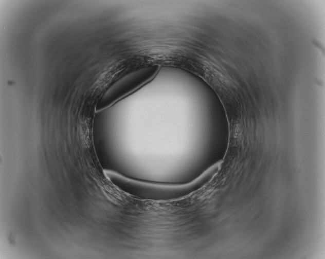 X0000096150868200801180827