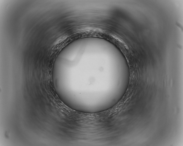 X0000096150869200801180827