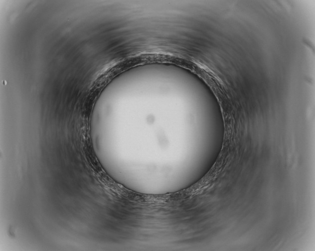 X0000096150870200801180827