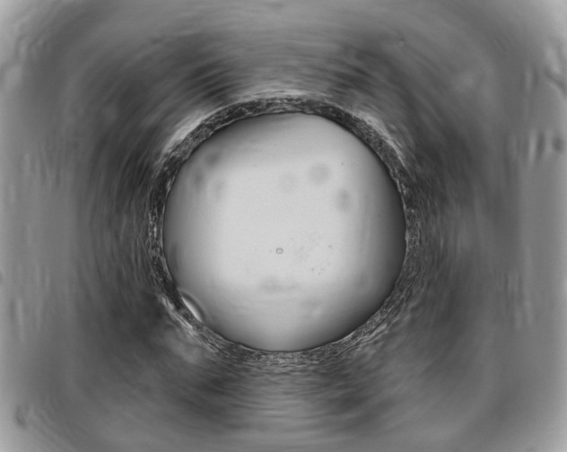X0000096150871200801180827
