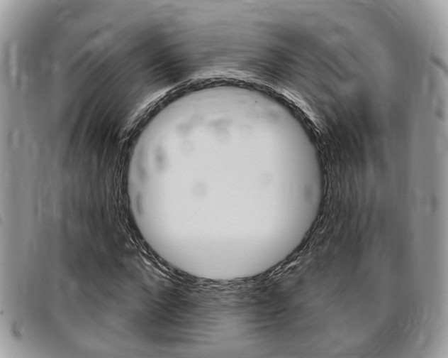 X0000096150872200801180827