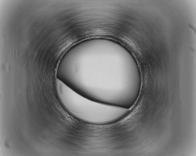 X0000096150873200801180827