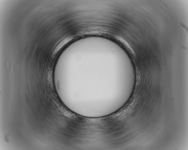 X0000096150874200801180827