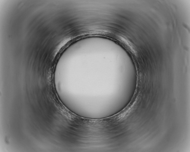 X0000096150875200801180827