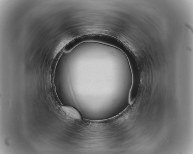 X0000096150877200801180827