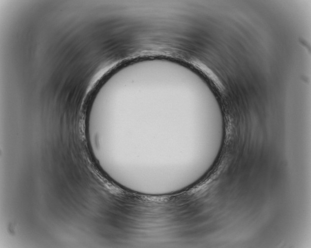 X0000096150878200801180827