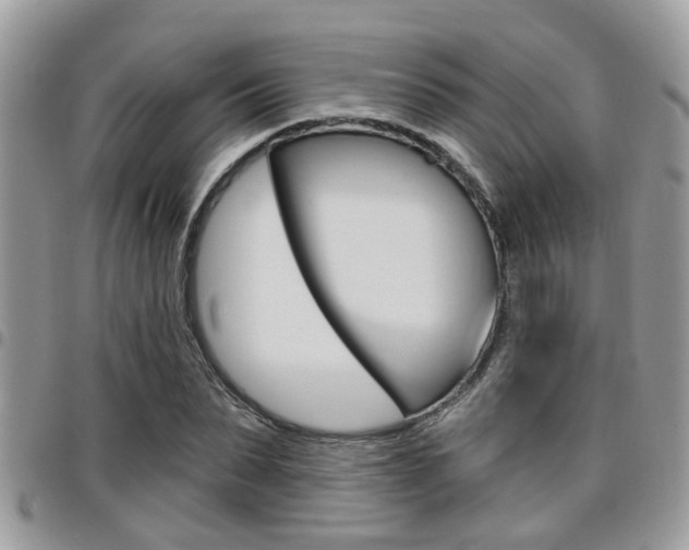 X0000096150879200801180827