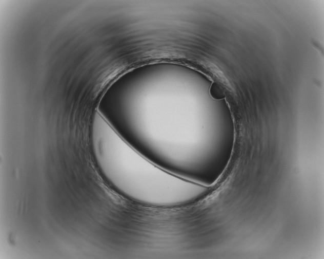 X0000096150881200801180827