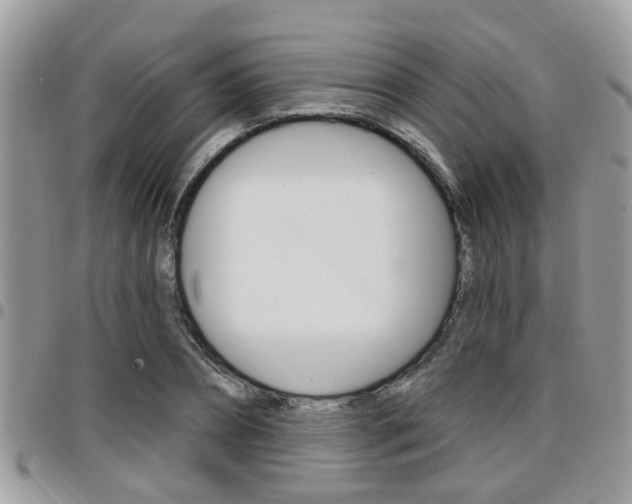 X0000096150882200801180827