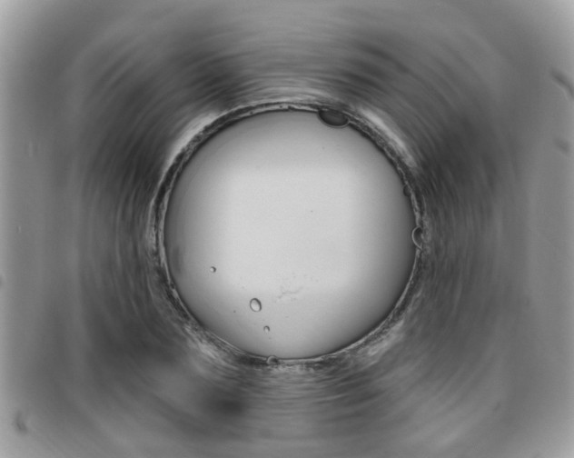 X0000096150883200801180827