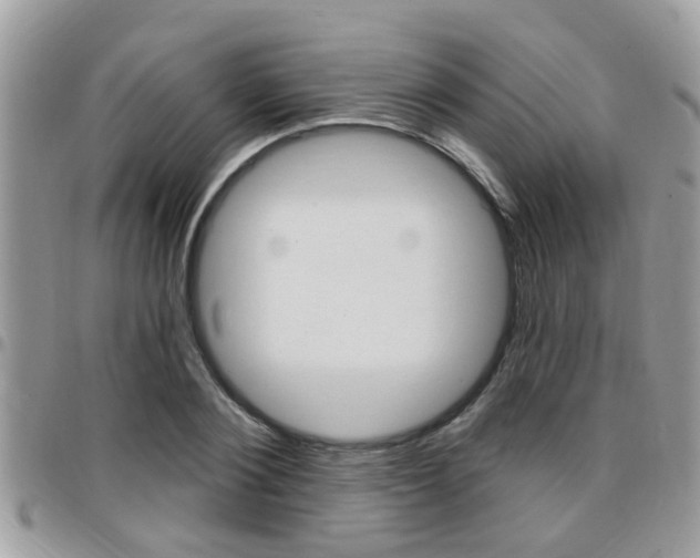 X0000096150884200801180827