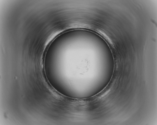 X0000096150885200801180827